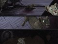 It_Starts____10_of_10_by_TLKwhatif_Shattered.jpg